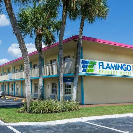 Flamingo Express Hotel Kissimmee Exterior foto